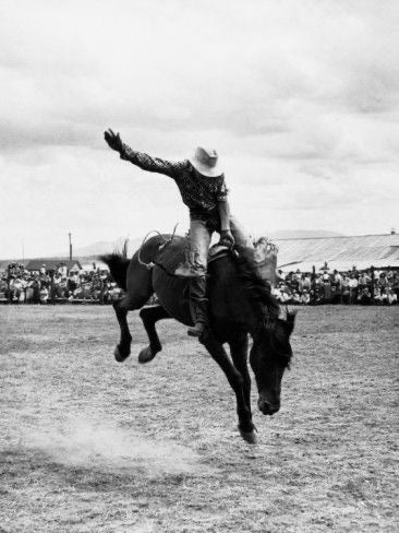Cowboys