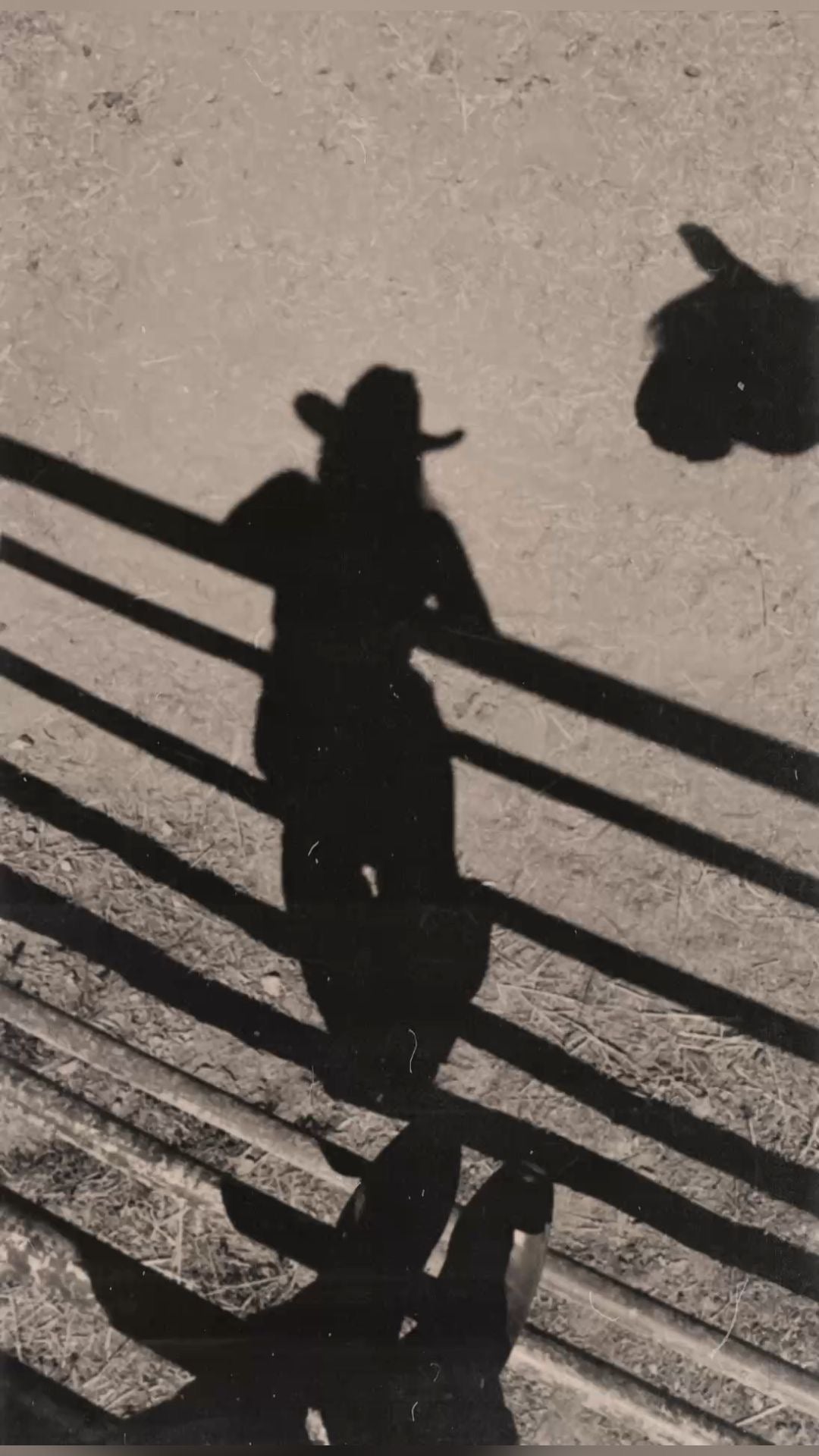 Cowgirls